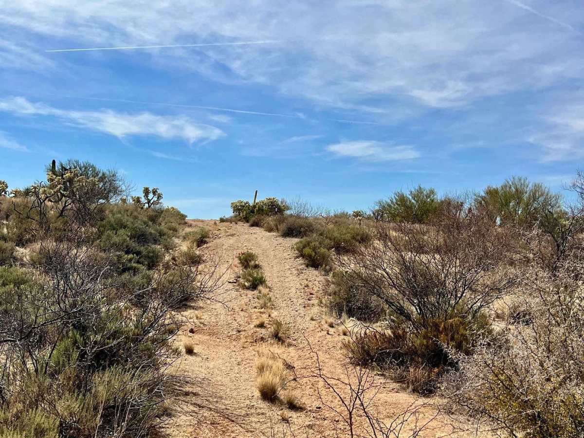 Freeman Pipeline Trail photo 2