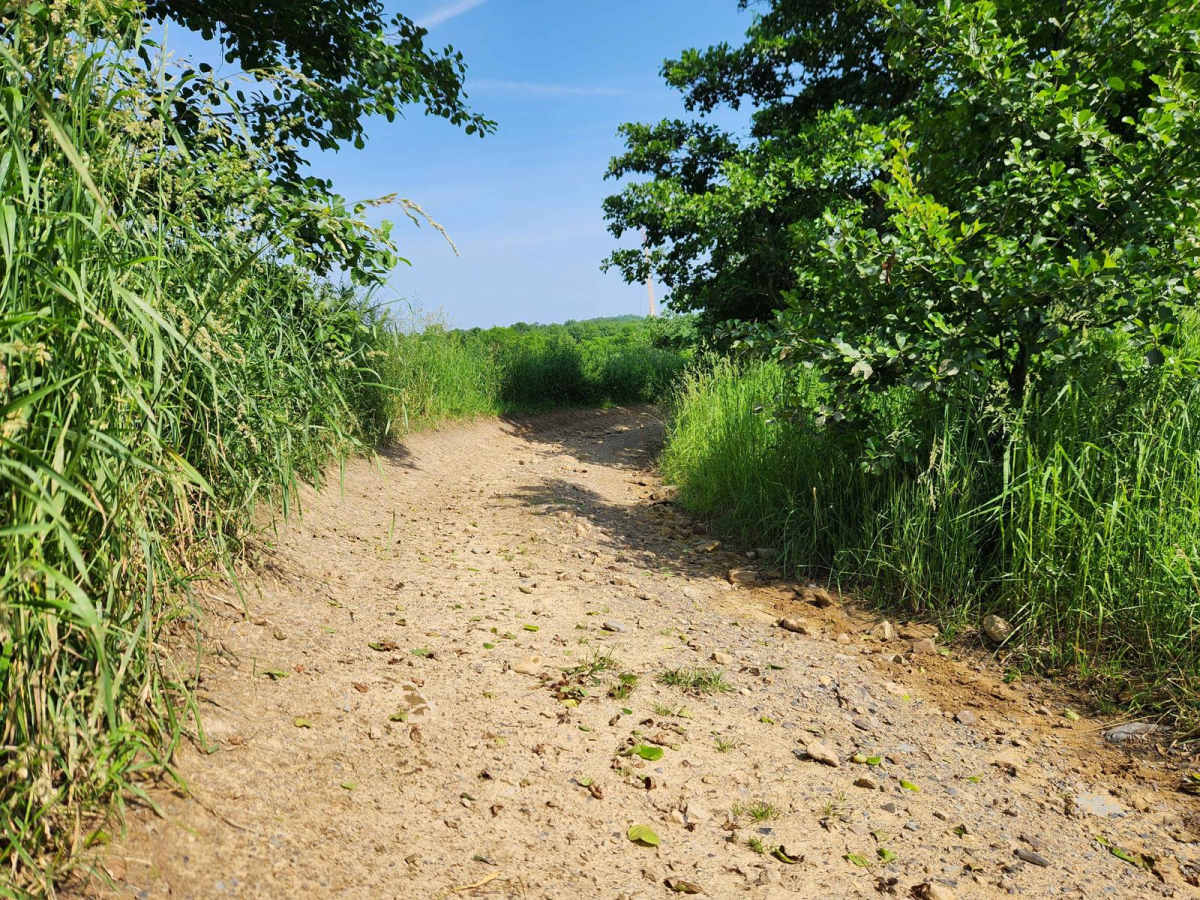 Rhino Path - Green - Rock Run Recreation Area photo 4