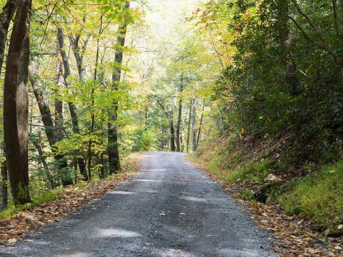 Laurel Run Road photo 3