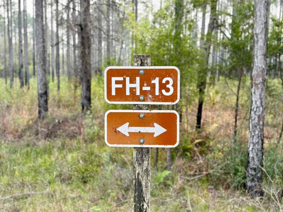 Forest Highway 13 West 65 photo 2