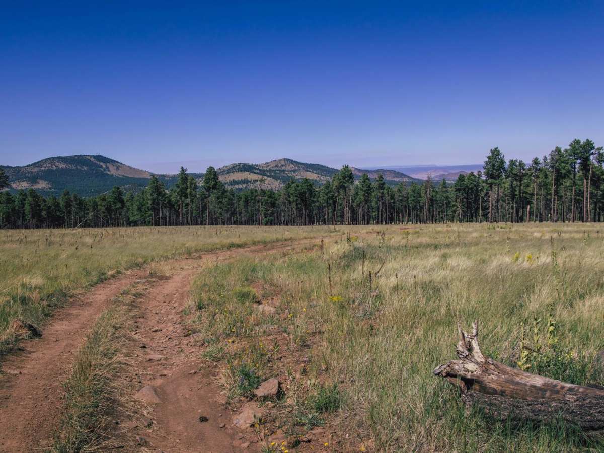 High Grass Crossing photo 2
