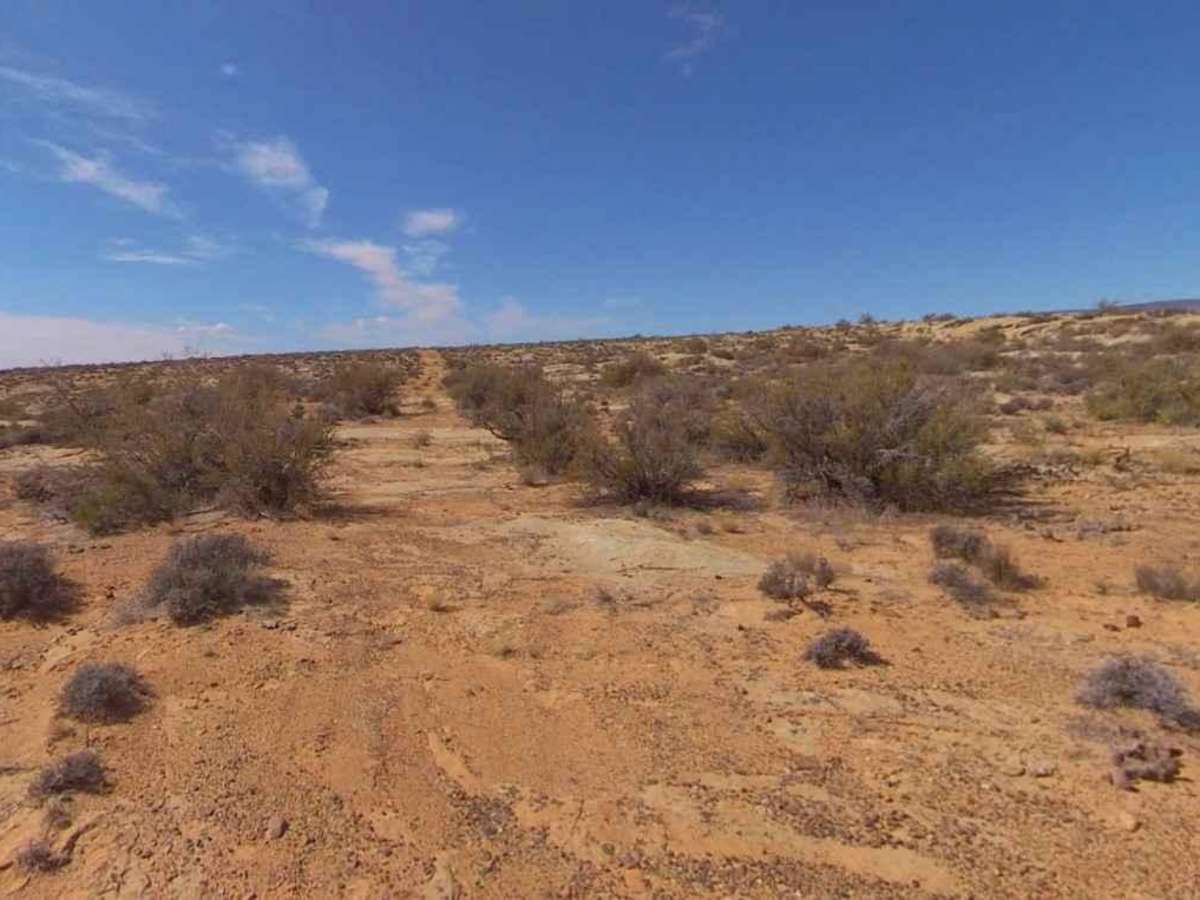 Clay Point South-BLM13225 photo 6