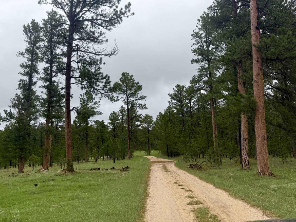 Heggie Spring Road photo 3