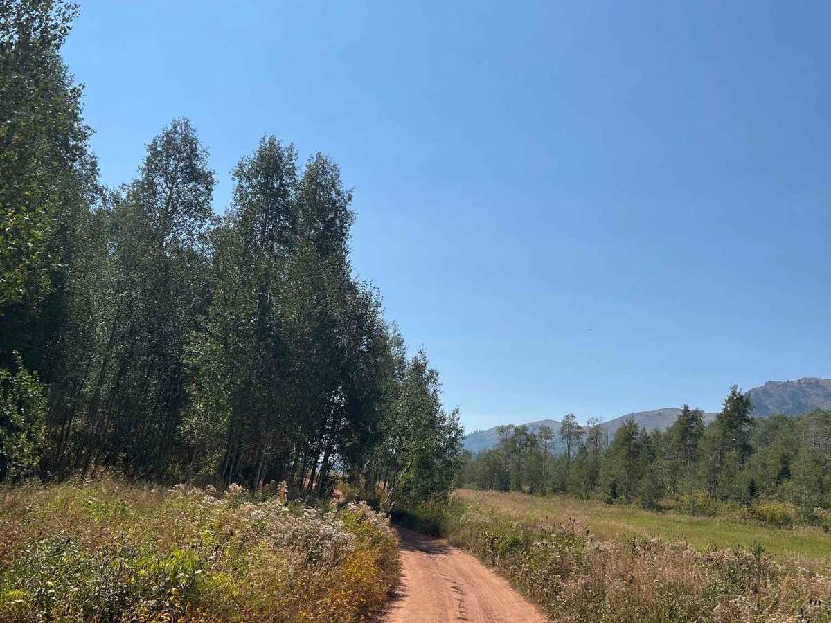 Arthur's Fork photo 3