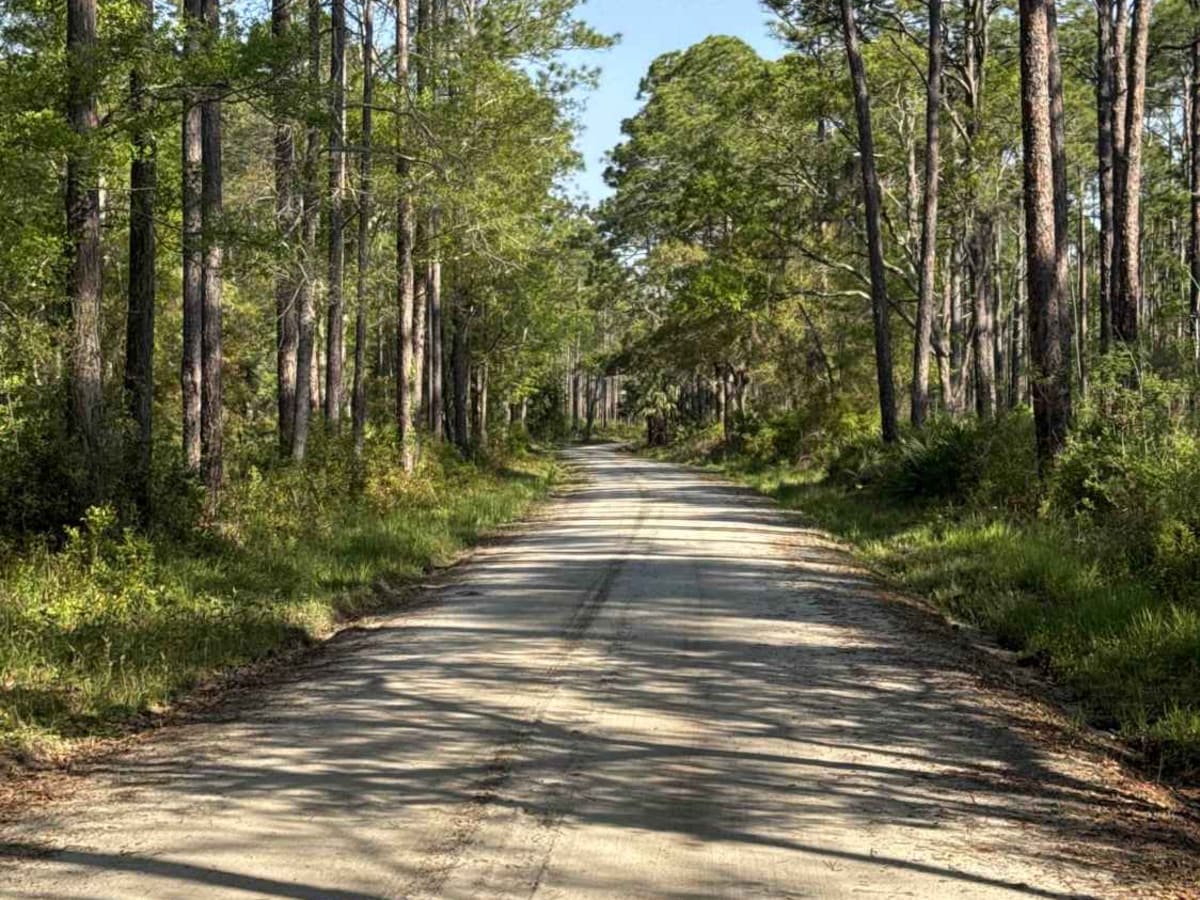 Purify Bay Road photo 2