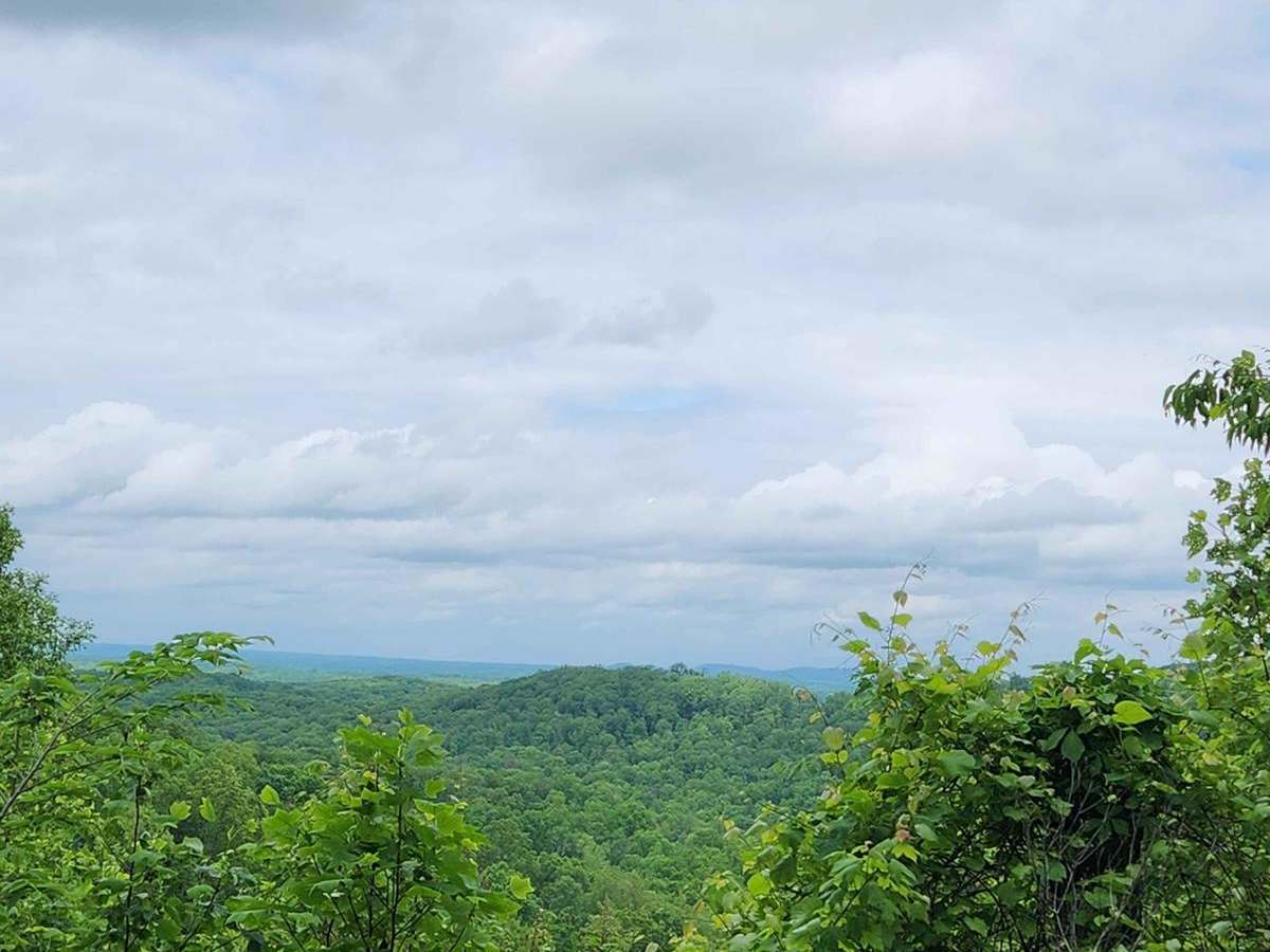 Forest Road 6 photo 4