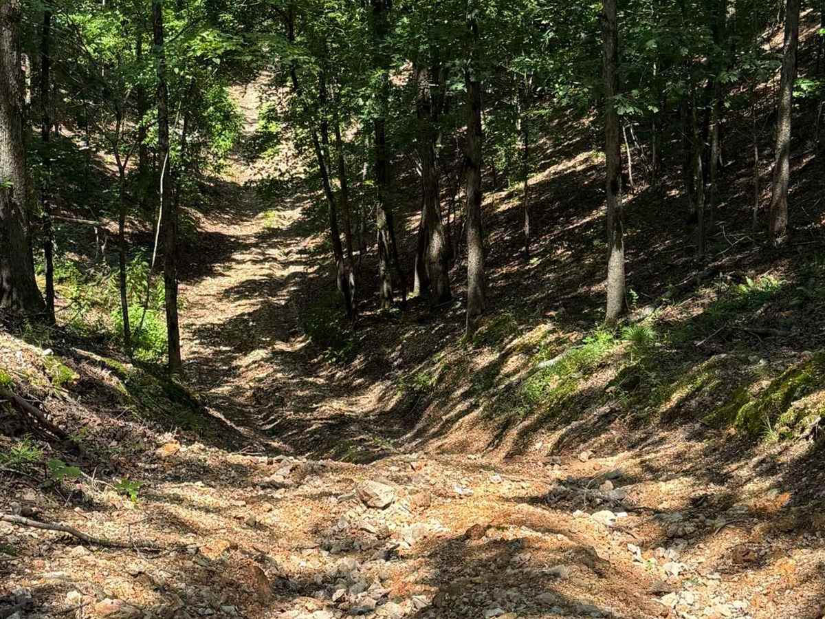 Joey's Trail photo 2