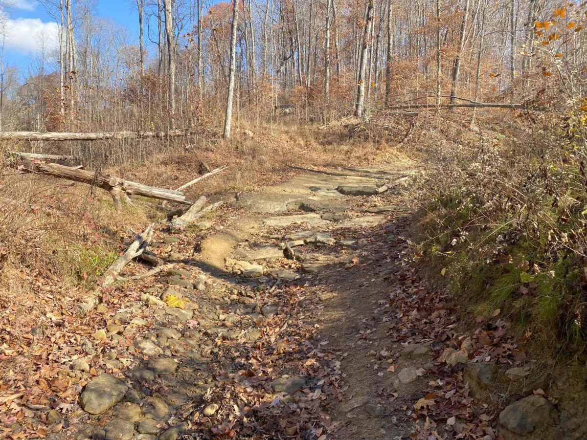Blue Creek Road - Tar Hollow Trails photo 5