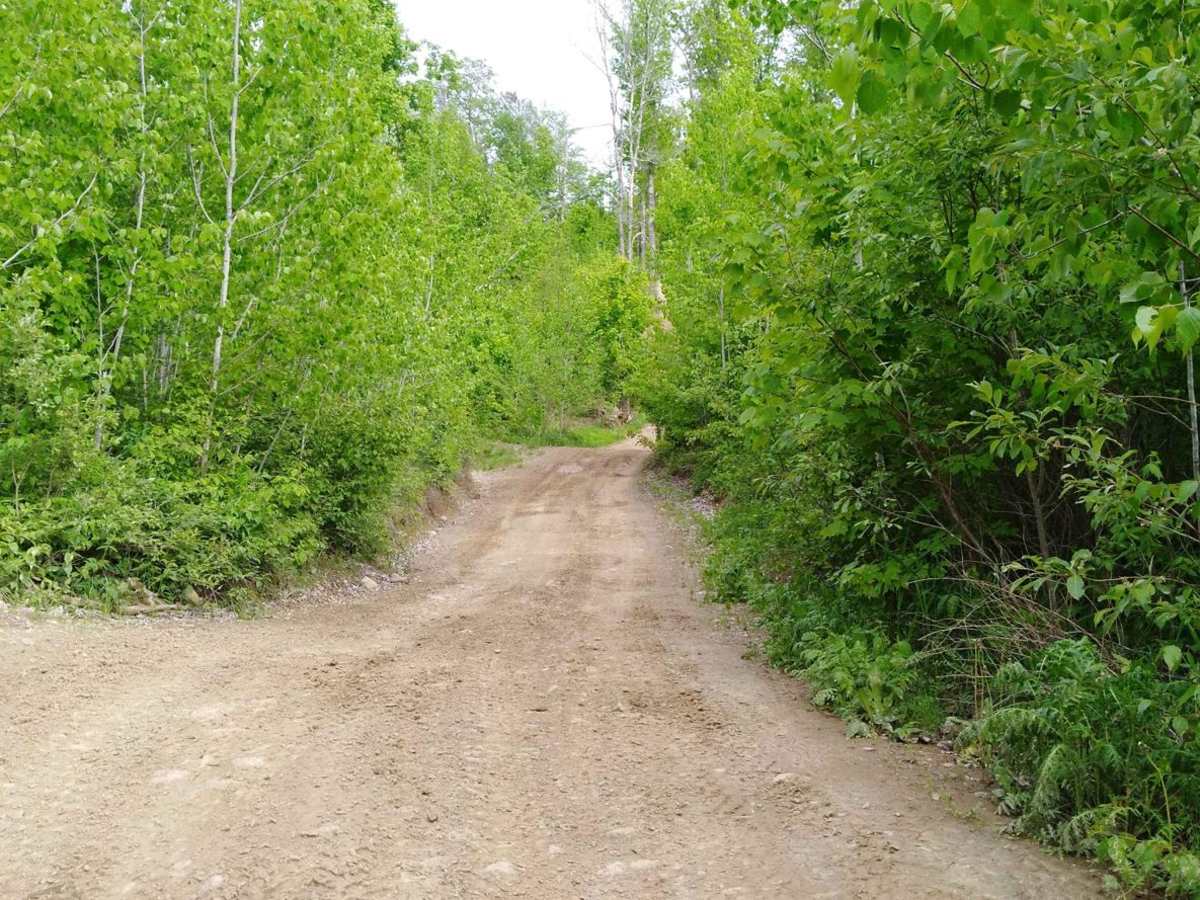 Hill City Trail photo 5