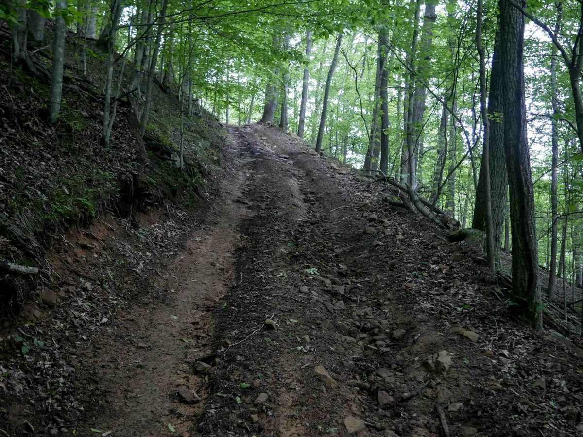 IB 59 trail photo