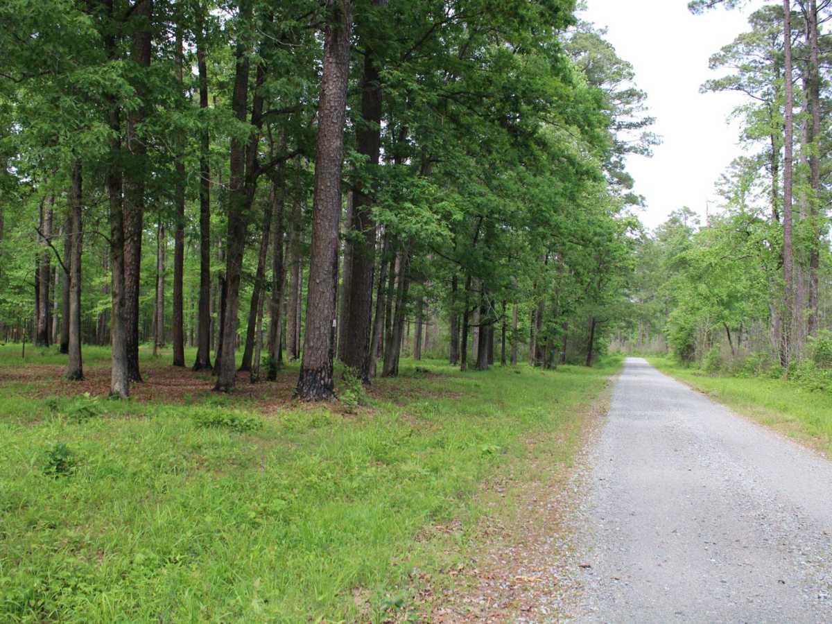Turkey Trot in the Kisatchie photo 5