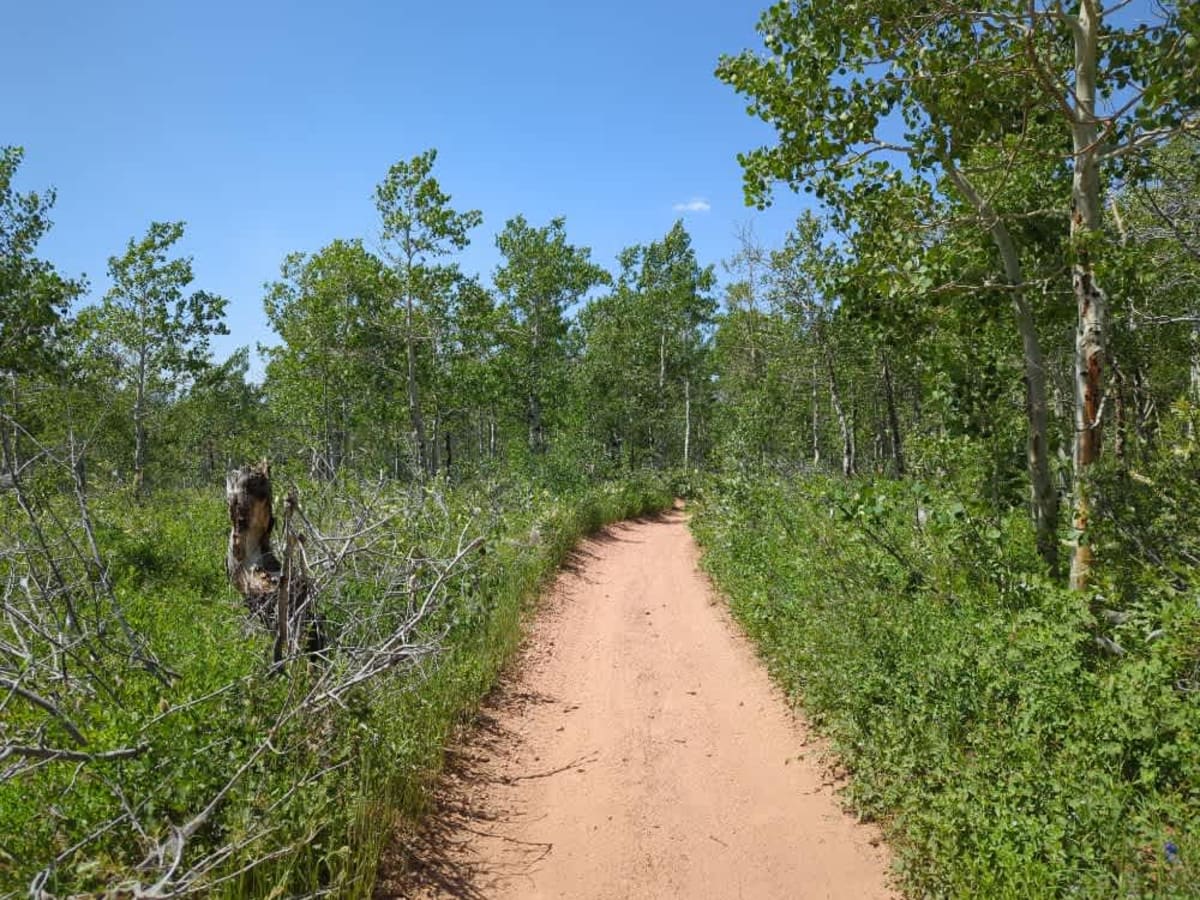 Dry Bread Hollow ATV photo 3