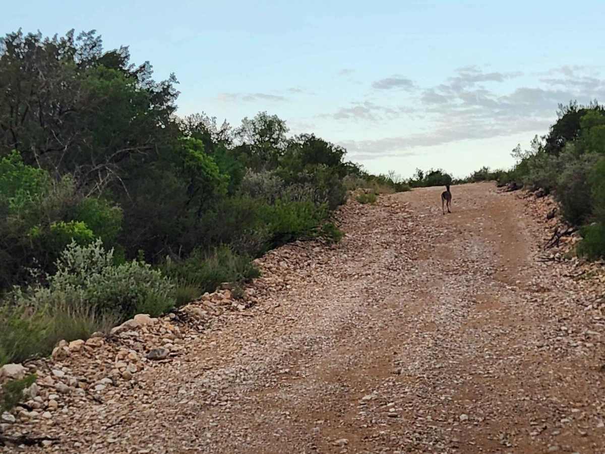 Devils River State Natural Area photo 6