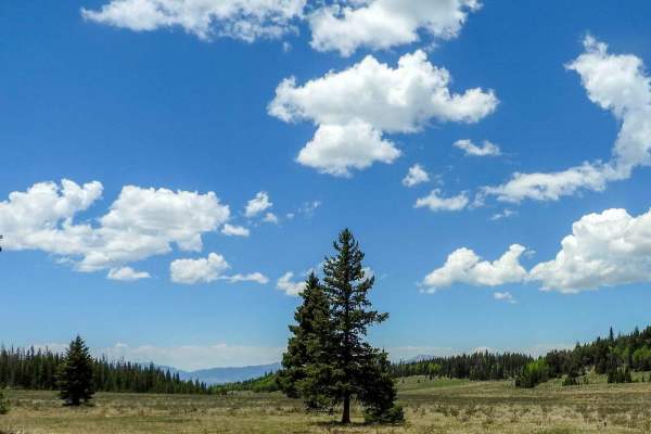 Greenhorn Mountain Road_ Forest Road 639
