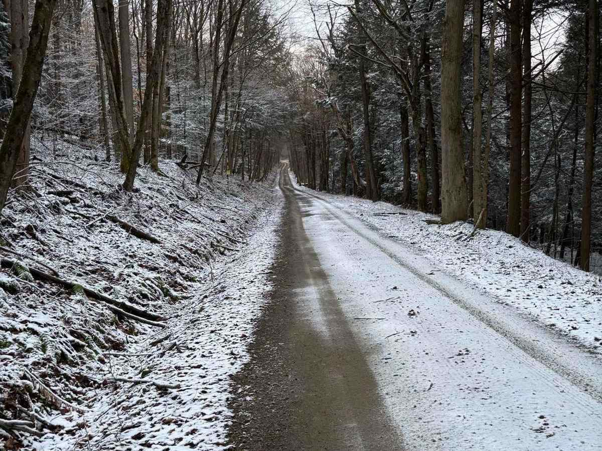 Prairie Road photo 4