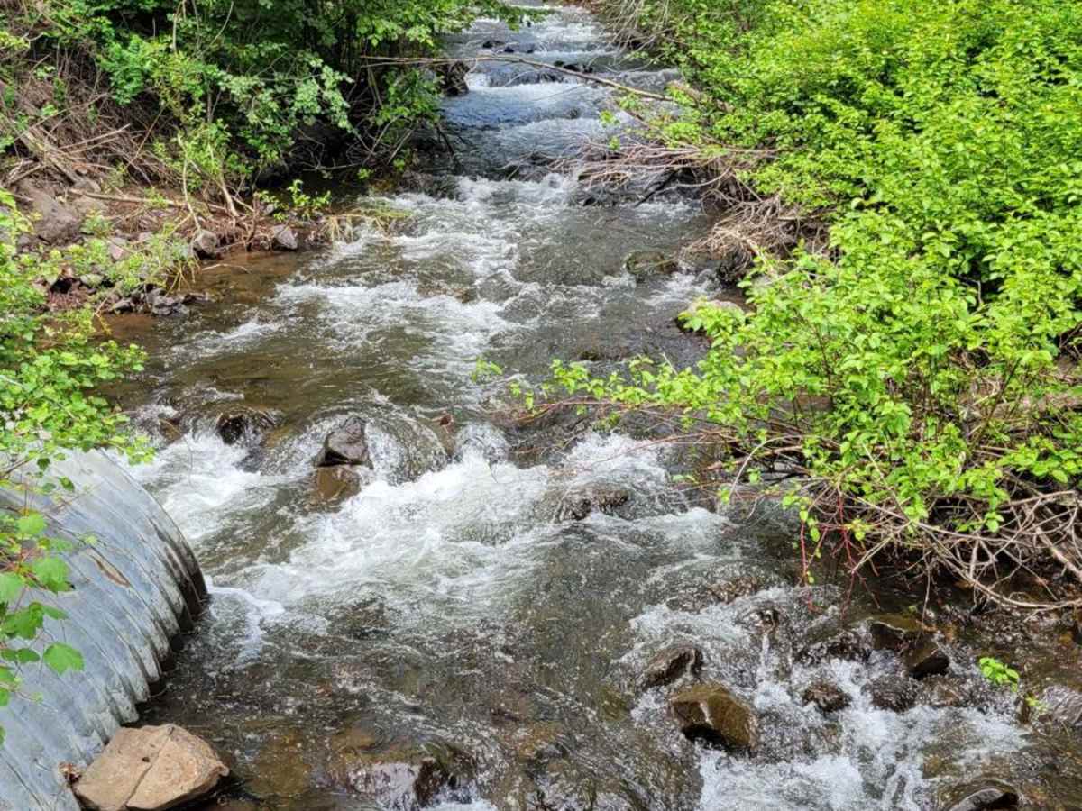 FR 09 - Mann Creek photo 6