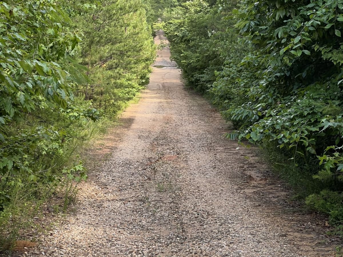 Fork Creek Road photo 5