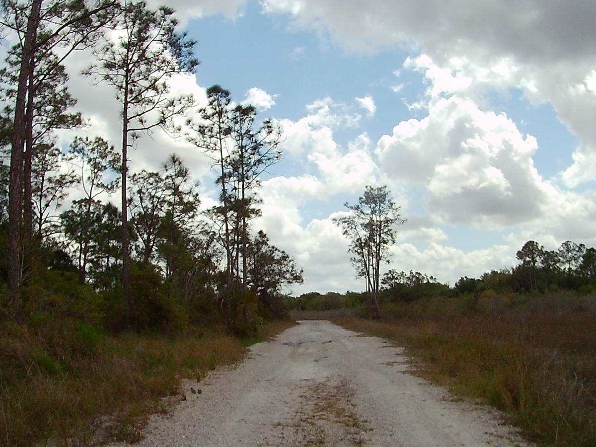 4 Sections Road photo 4