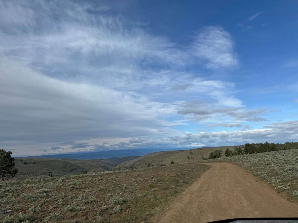 Little Brushy Road via Quilomene Ridge Road photo 3