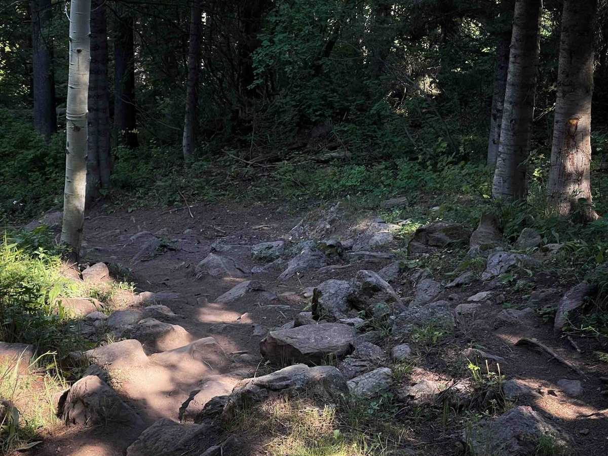 Drake Creek photo 5