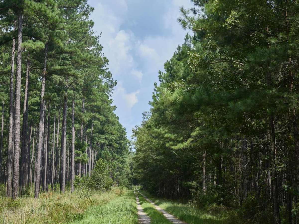 Horseshoe Loop photo 5