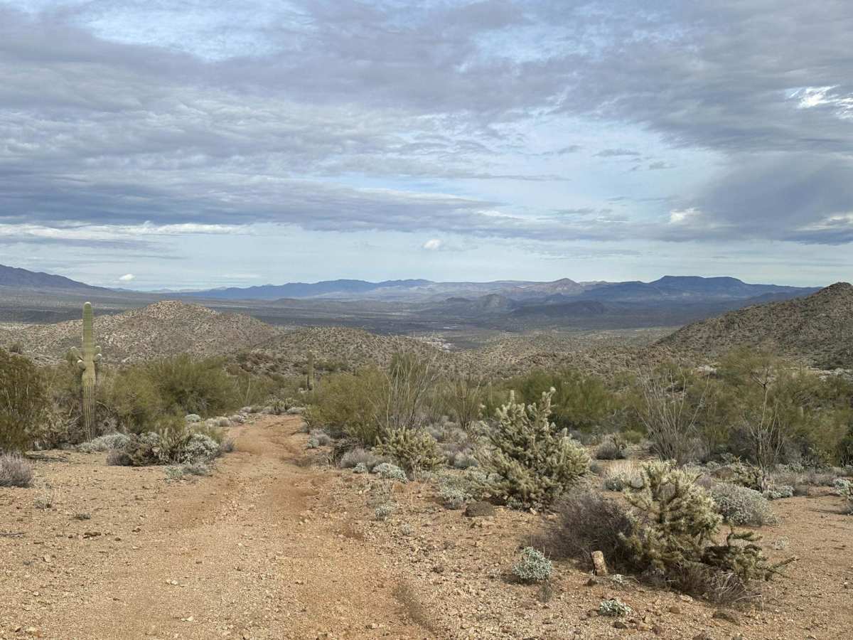 Gold Bug Mine Trail photo 5