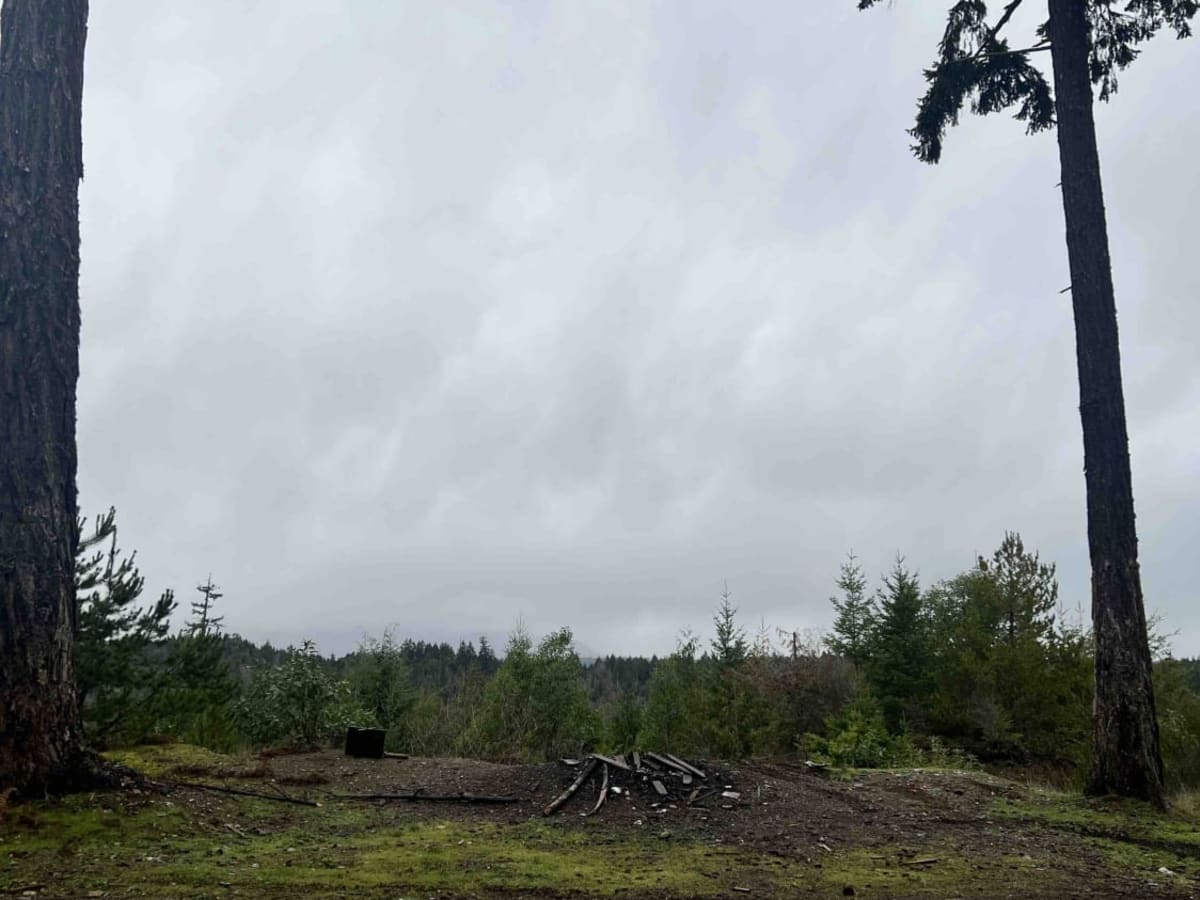 Whiskey Creek FSR photo 2