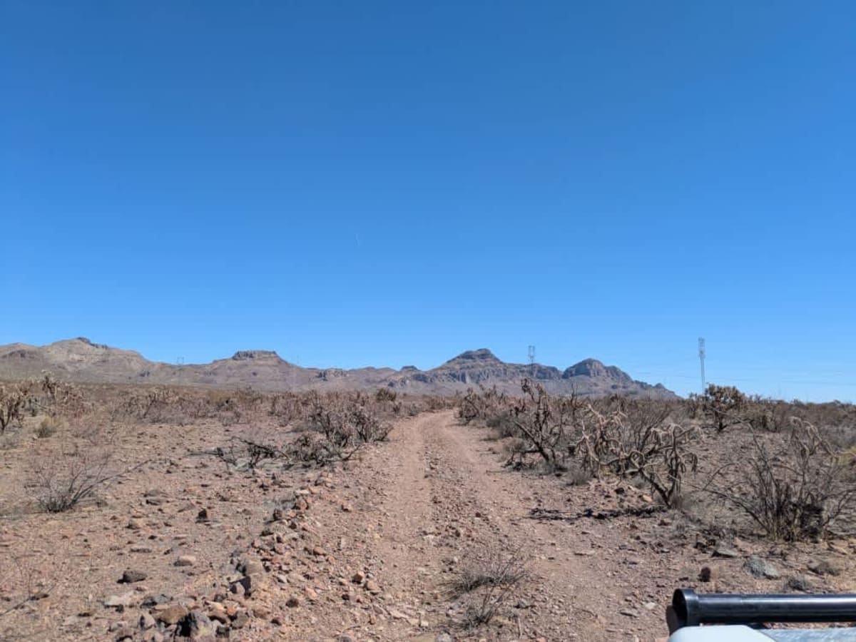 Ss1095 photo 6