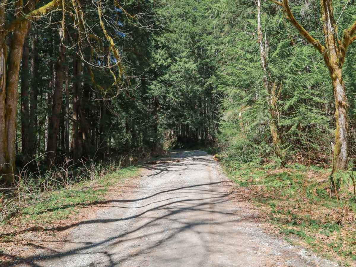 North Fork Stilly photo 6