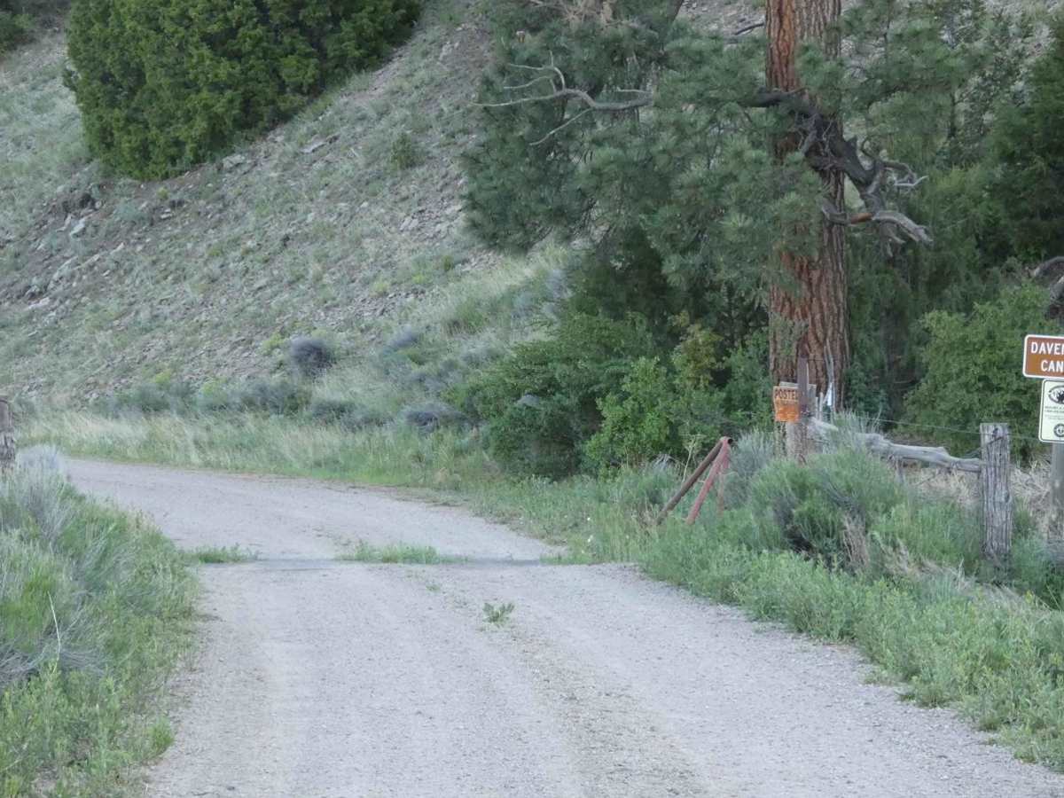 Davenport Canyon FS6 photo 2