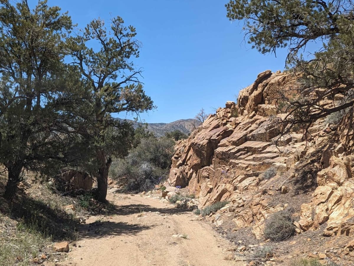 BLM C2340 trail photo