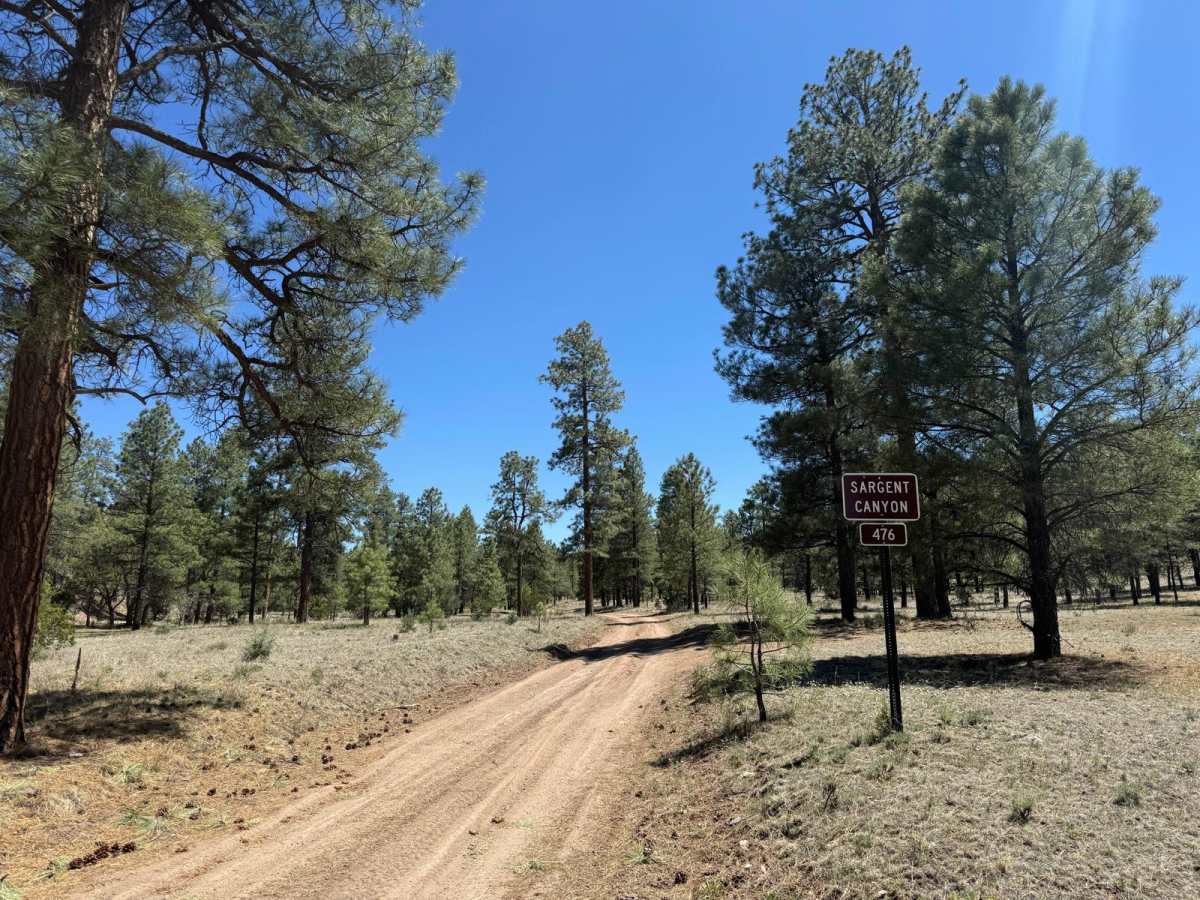 Sargent Canyon trail photo