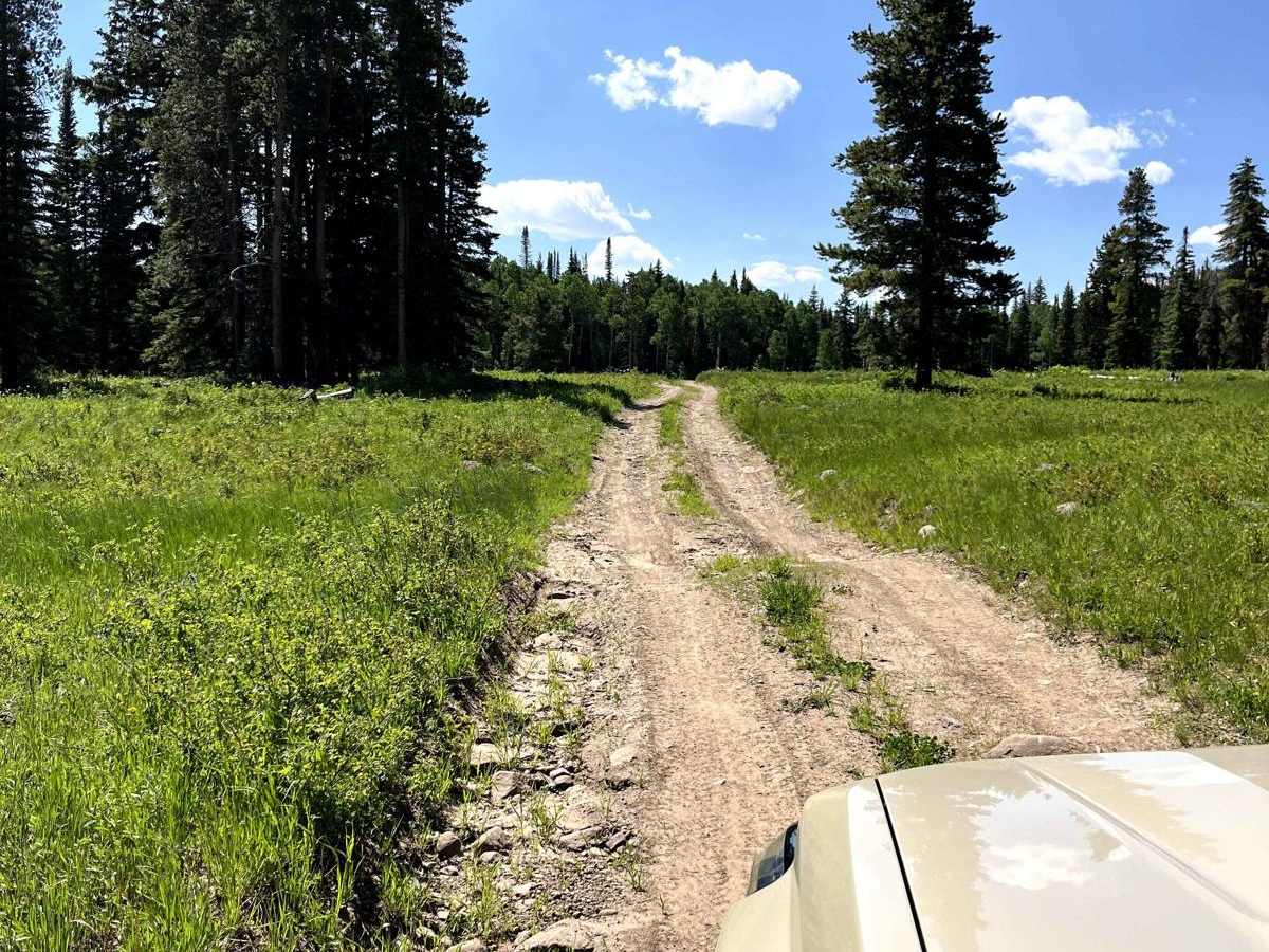 Transfer Road 967.1 photo 5