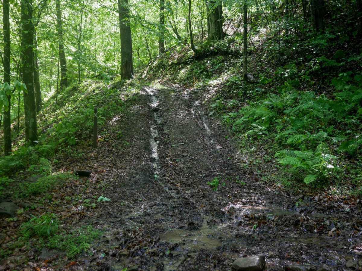 CC98 trail photo