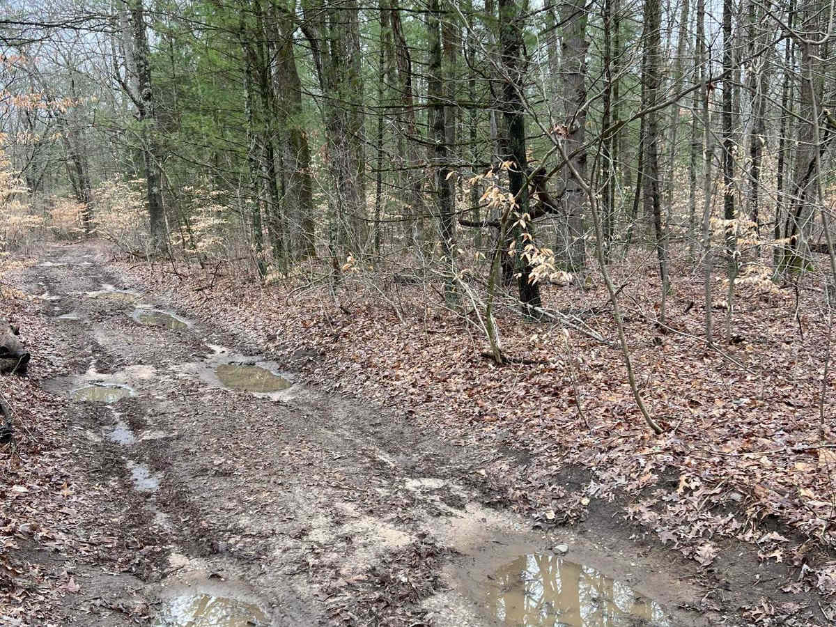 Swan Creek Trail (121st Avenue) photo 5