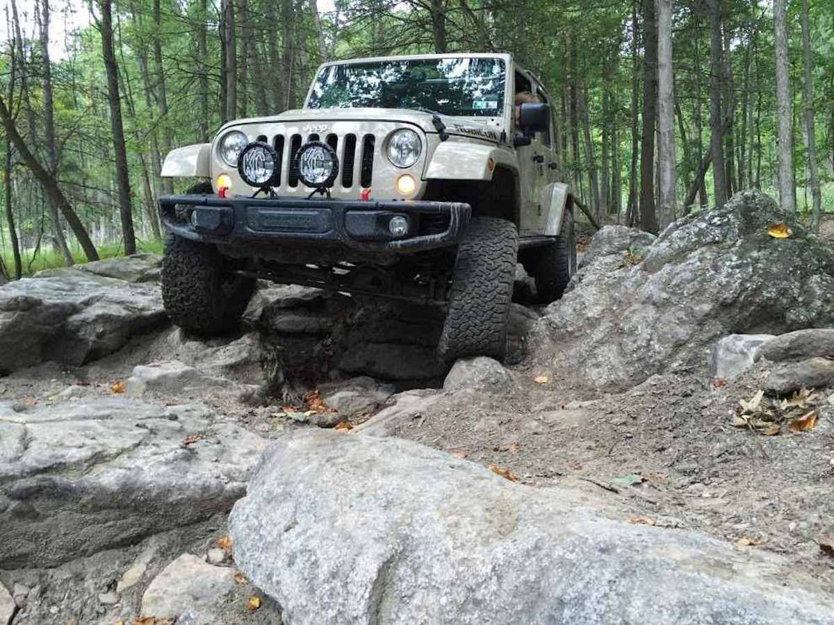 16 Black trail photo