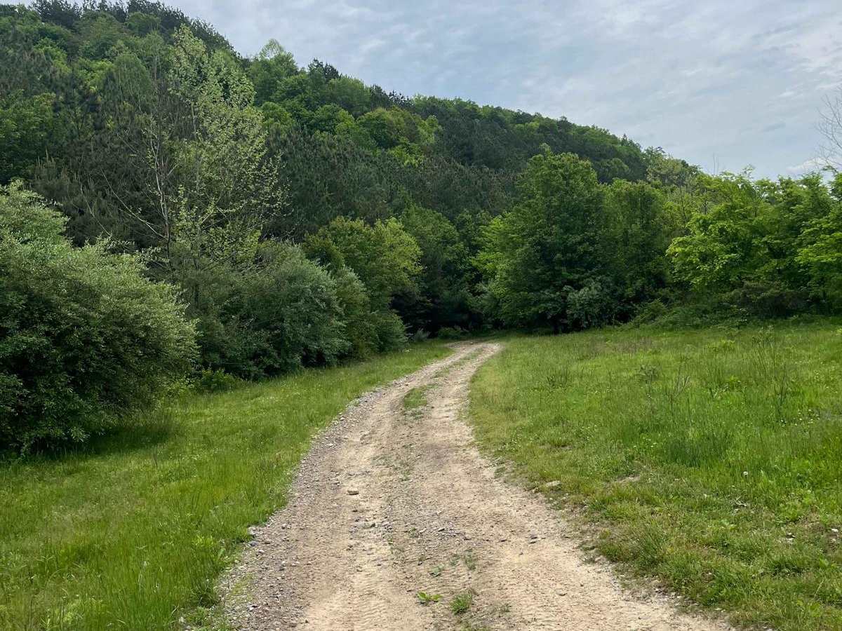 Trail 11 photo 2
