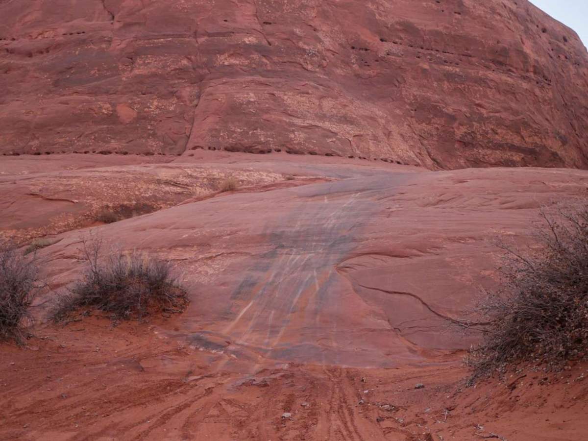Brian's Trail photo 2