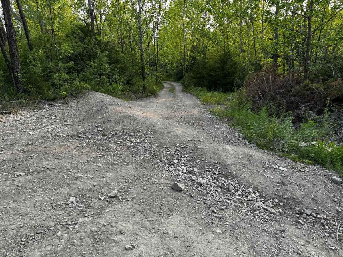 Green 147 trail photo