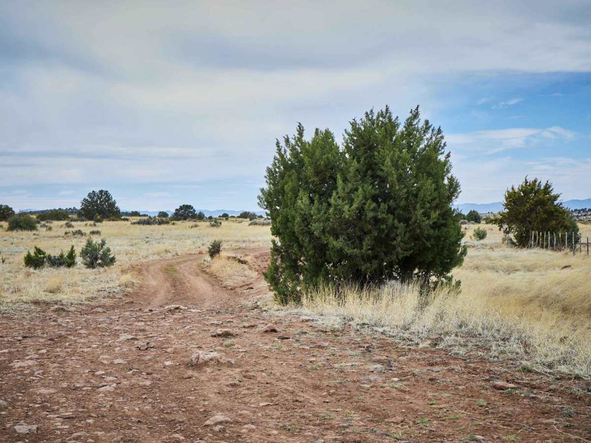 Coyote Ranch Road photo 2