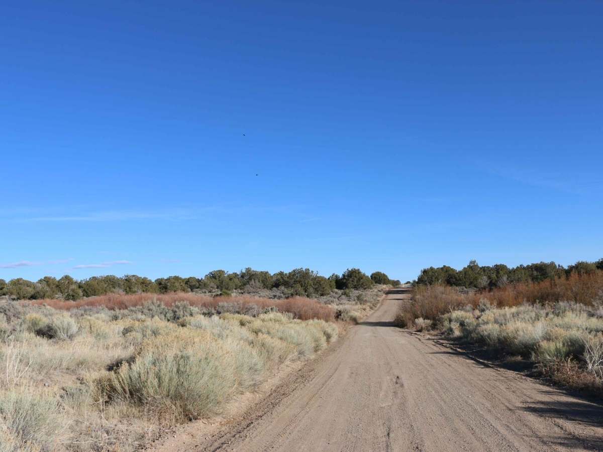 Spring Road trail photo