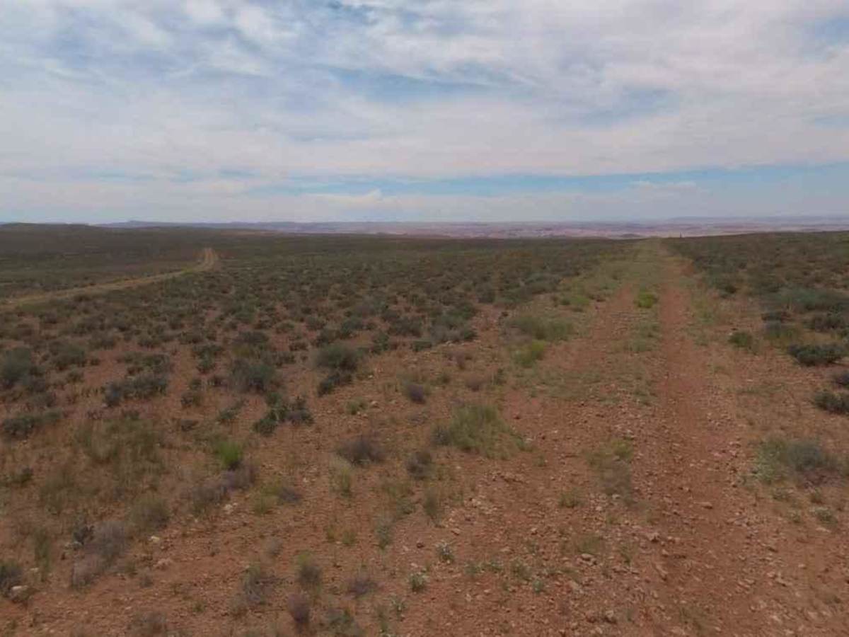 BLM13430 photo 3