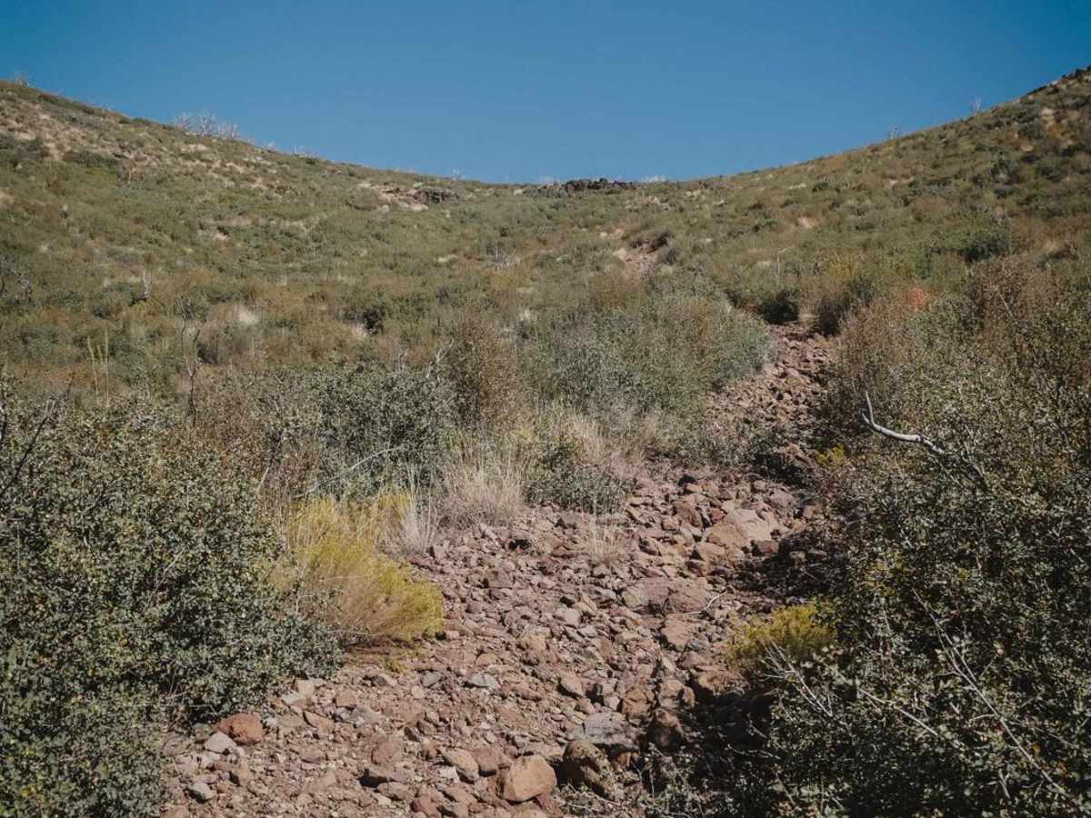 Little Wolf Creek photo 5