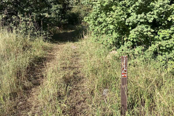 Lower Cub River Trail