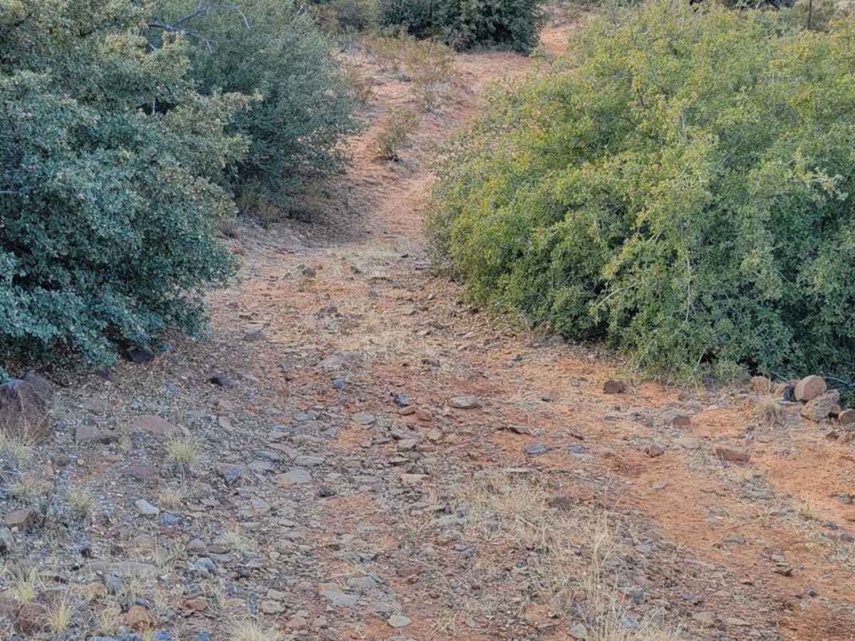 BLM 1606 photo 5
