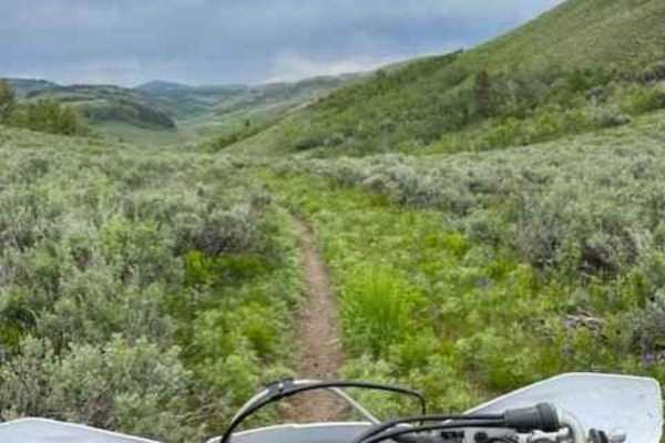 Goose Creek Single Track