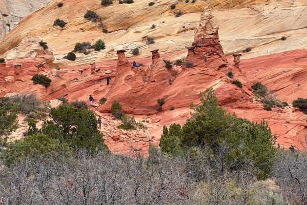 Hoodoo Trail (103Q)