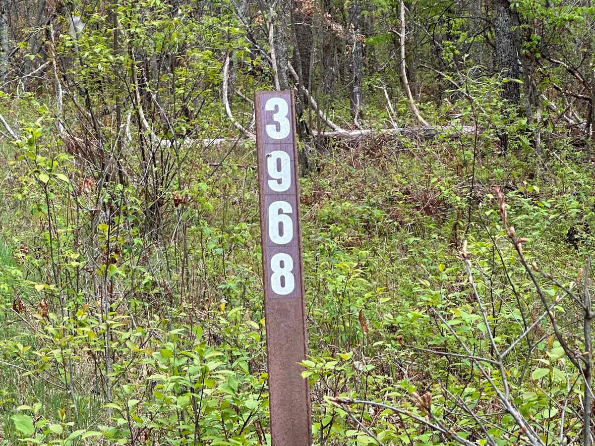 FS 3968 trail photo