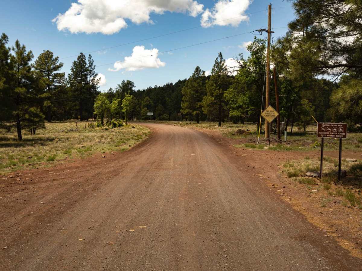 Schnebly Hill Road trail photo
