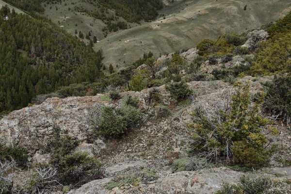 Taylor Canyon